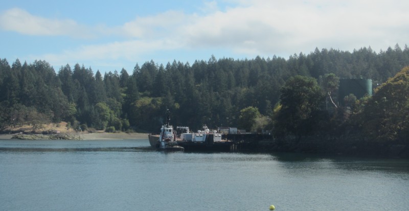 BCFerries3