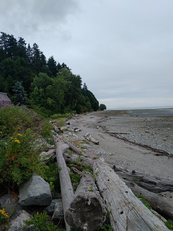 Crescent Beach 4 Pacific Northwest View