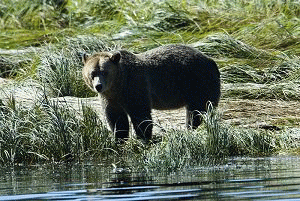  Northern BC