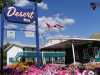 Canada's Best Value Desert Inn & Suites