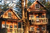 The Cabins at Terrace Beach